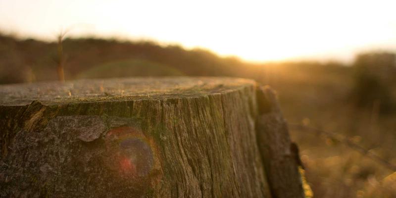 龙岩别墅大门高端定制锁具选购指南：智能门锁如何兼顾美学设计与极致安防