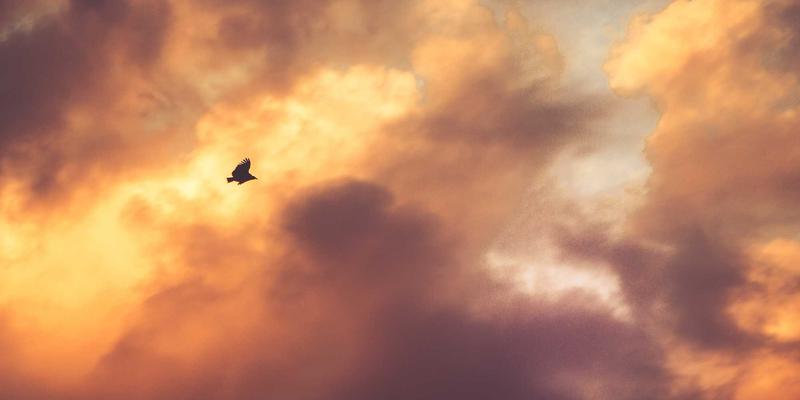 龙岩办公室门禁系统突发故障？智能门锁紧急开锁与换锁全攻略