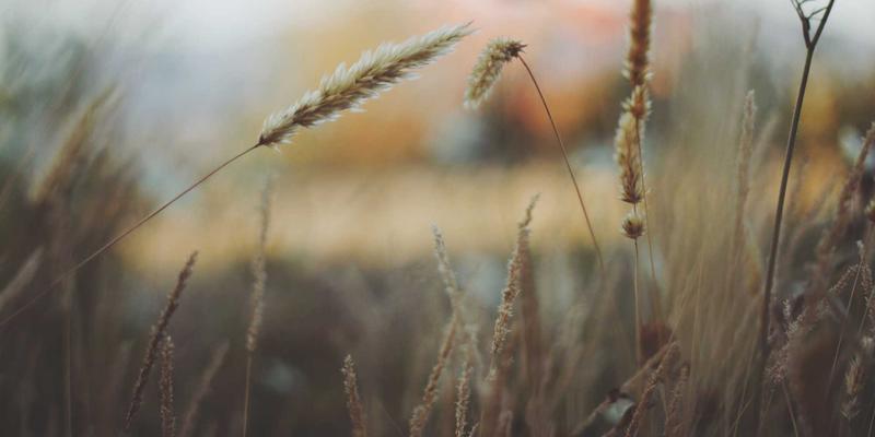 龙岩开锁28：专业安防服务，守护您的生活每一刻