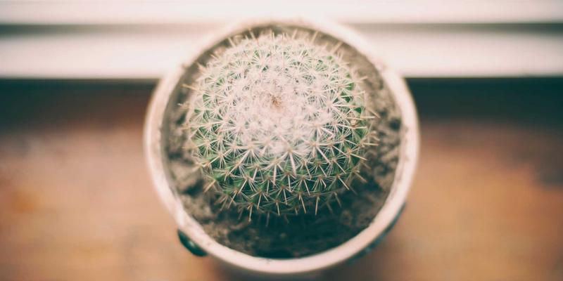 龙岩开锁48小时服务指南：专业配钥匙与紧急开锁解决方案