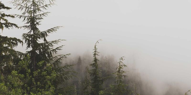 龙岩开锁49：智能门锁安装、专业配钥匙与换锁服务全解析