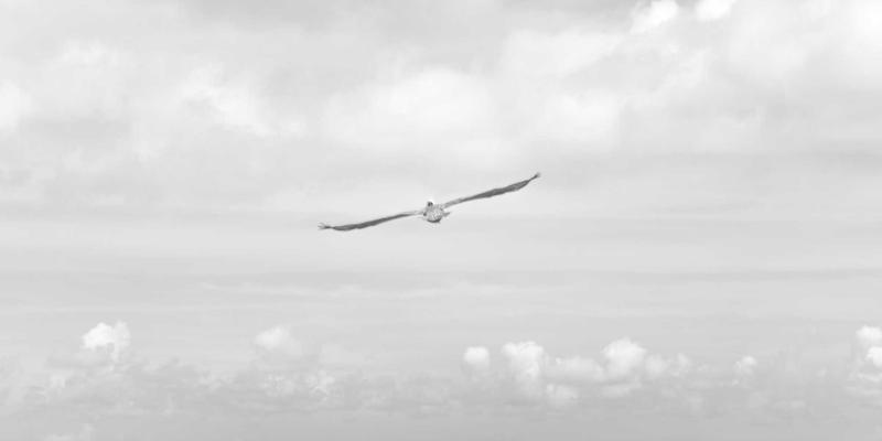 龙岩开锁72小时服务与安防产品选购指南:守护家门,安全无忧