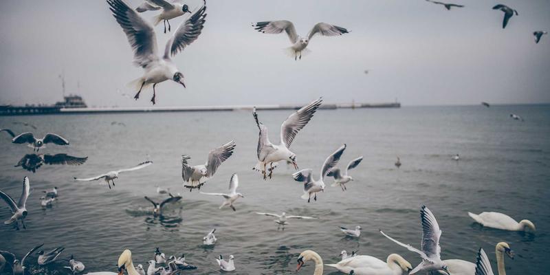 龙岩开锁与安防产品:守护岩城门户的智慧选择