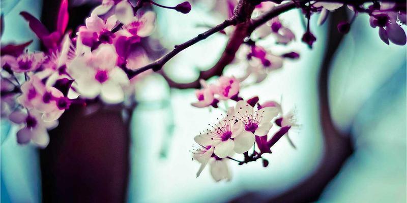 龙岩开锁教程：从安防产品选择到配钥匙换锁全指南