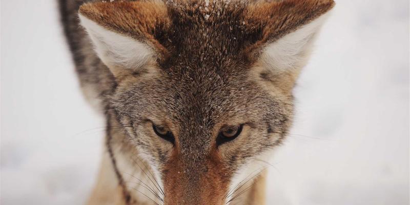 龙岩开锁服务全方位指南:配钥匙、安防升级与智能换锁的专业选择