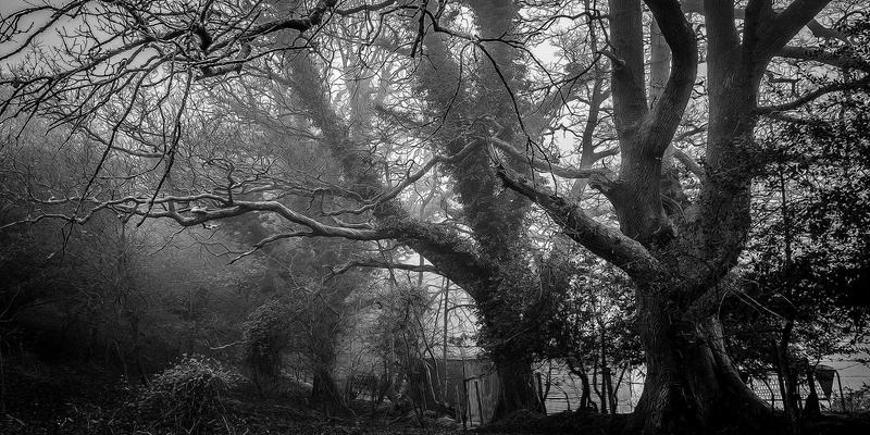 龙岩开锁服务全解析：应急开锁、换锁芯与安全指南