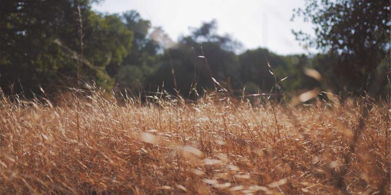 龙岩汽车钥匙全丢应急指南：从智能解码到防盗编程的专业处理流程
