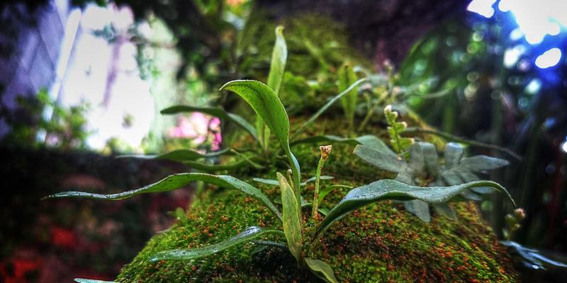 龙岩老旧小区防盗门锁升级改造方案推荐：专业开锁服务与智能配钥匙指南